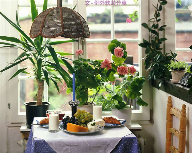家里植物這樣擺，打造”另類“居室（一）-別墅設(shè)計,軟裝設(shè)計,室內(nèi)設(shè)計,豪宅設(shè)計,深圳例外軟裝設(shè)計公司