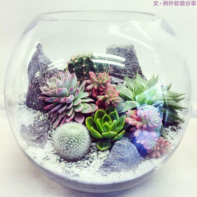 地球人都得了一種，看見“她”就想抱回家養(yǎng)的?。?別墅設(shè)計,軟裝設(shè)計,室內(nèi)設(shè)計,豪宅設(shè)計,深圳例外軟裝設(shè)計公司