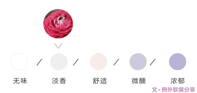 【例外·花箋記】洋牡丹，花叢中的人氣精靈-別墅設(shè)計(jì),軟裝設(shè)計(jì),室內(nèi)設(shè)計(jì),豪宅設(shè)計(jì),深圳例外軟裝設(shè)計(jì)公司