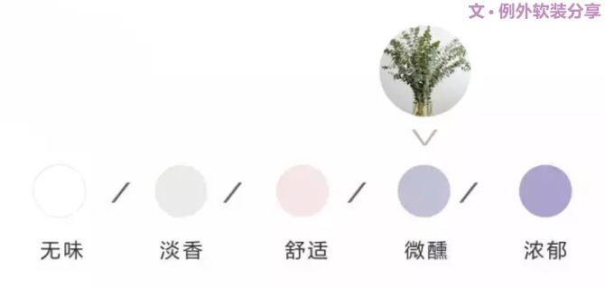 【例外.花箋記】尤加利，花藝界的百搭神葉-別墅設(shè)計(jì),軟裝設(shè)計(jì),室內(nèi)設(shè)計(jì),豪宅設(shè)計(jì),深圳例外軟裝設(shè)計(jì)公司